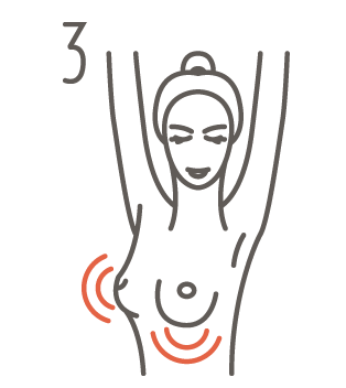gfx bse 3